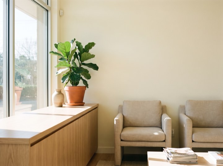 Reception, with two armchairs by the window
