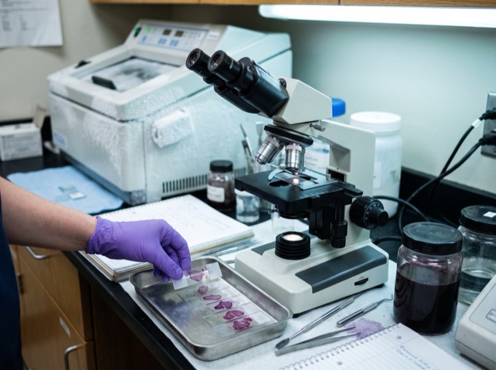 Microscope and slides on the Mohs lab bench
