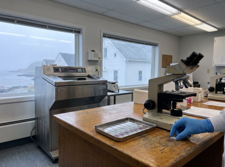 The on-site Mohs laboratory