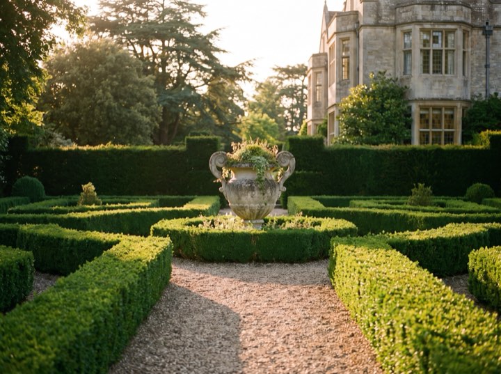 The garden