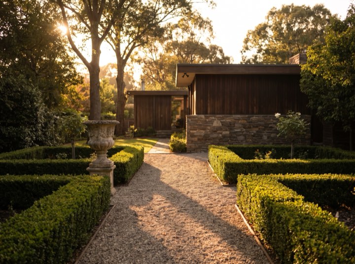 The garden