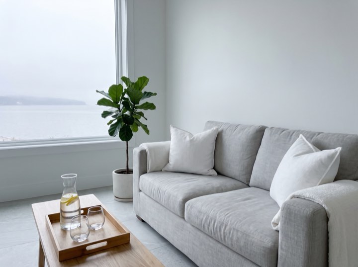 Grey sofa in the lounge by a window