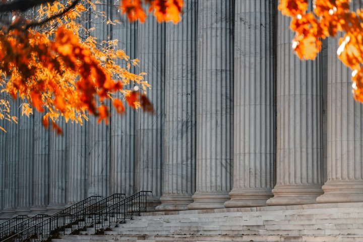 Courthouse columns behind a branch of autumn leaves