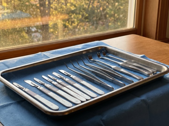 Instruments set out on a tray