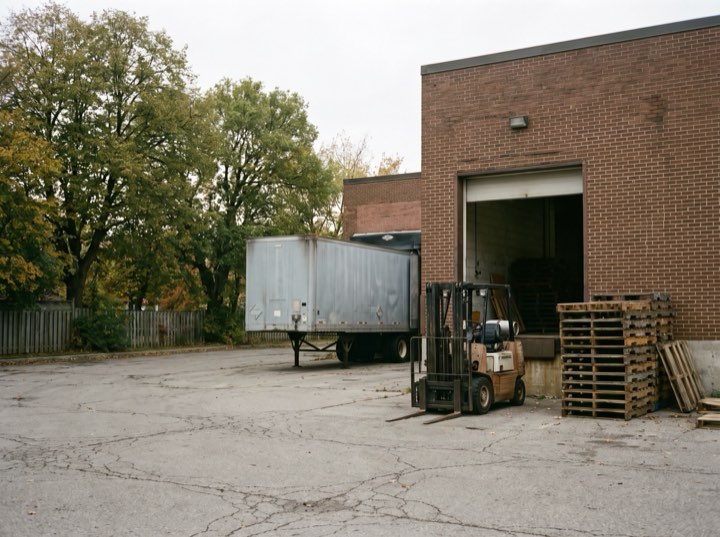 The yard