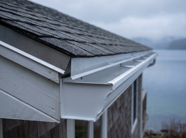 Drip edge and gutter