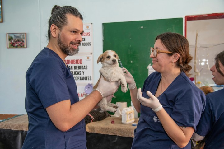 A vet in scrubs handing a small puppy to its owner in the exam room