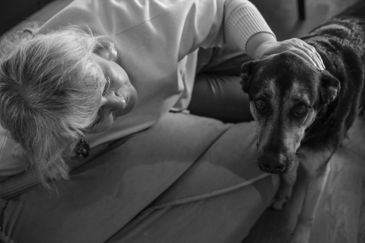 A woman on a couch resting her hand on an old dog’s head