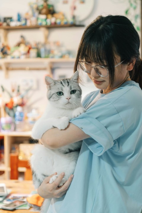 A grey and white cat held in the arms of a vet in blue scrubs