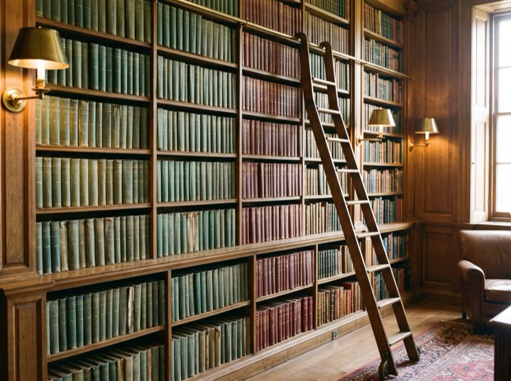 Shelves of bound volumes with a library ladder